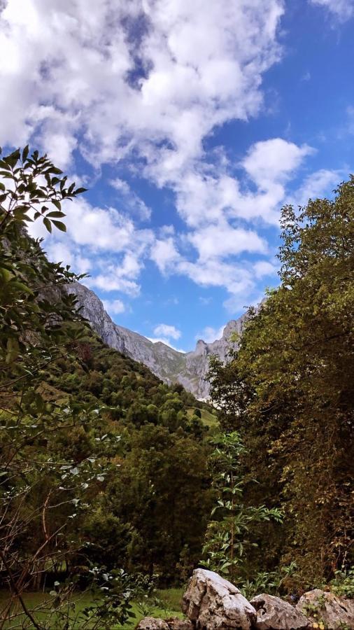 Albergue Villa De ブルネス エクステリア 写真